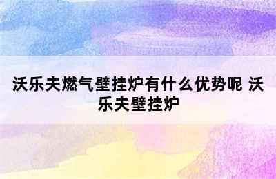 沃乐夫燃气壁挂炉有什么优势呢 沃乐夫壁挂炉